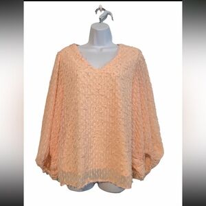 Womens Size S Blush Pink Eyelash Balloon Sleeve V Neck Blouse